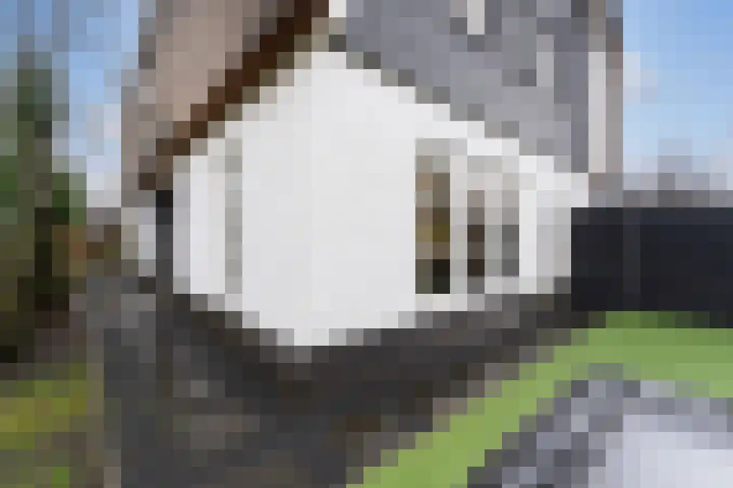 Ter Weijdenlaan 2 a Blaricum thumbnail 39