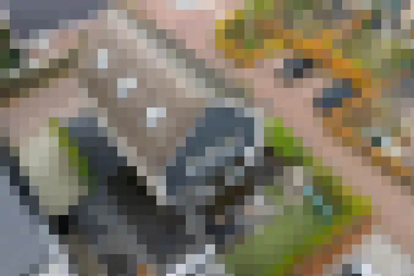 Ter Weijdenlaan 2 a Blaricum thumbnail 42