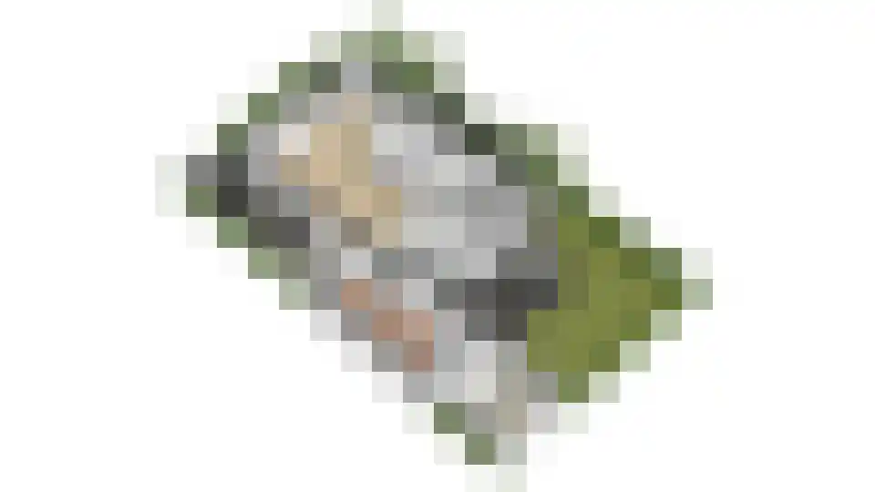Ter Weijdenlaan 2 a Blaricum thumbnail 61