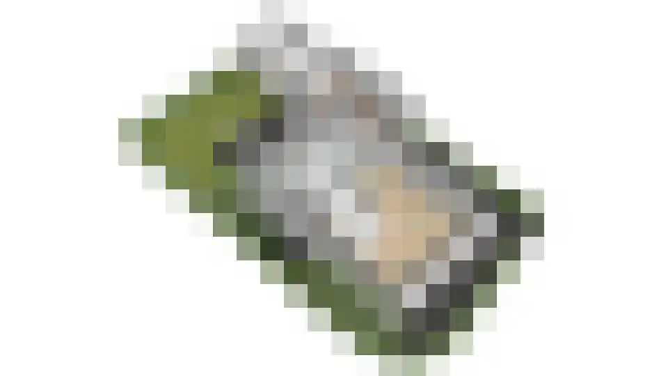 Ter Weijdenlaan 2 a Blaricum thumbnail 62