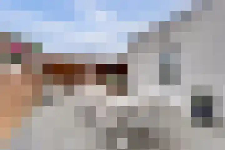 ter Woordstraat 11 Winterswijk thumbnail 31