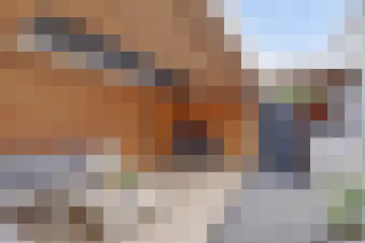 ter Woordstraat 11 Winterswijk thumbnail 32