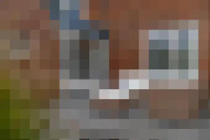 ter Woordstraat 15 Winterswijk thumbnail 4
