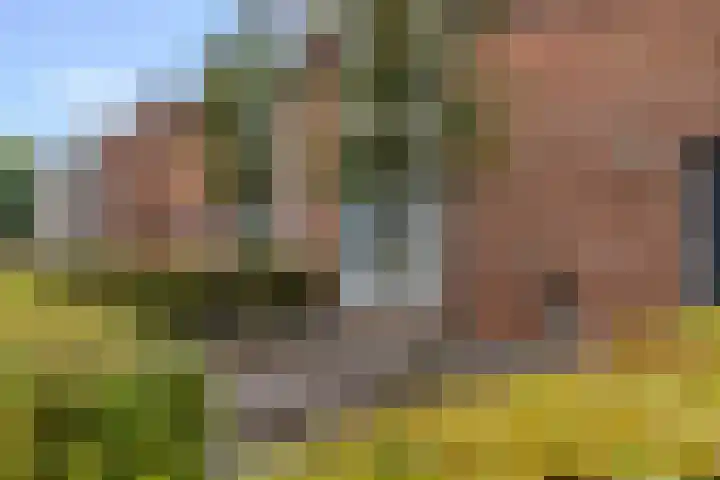 ter Woordstraat 15 Winterswijk thumbnail 5