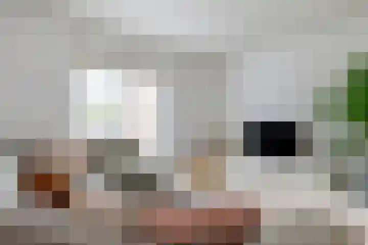 ter Woordstraat 15 Winterswijk thumbnail 7