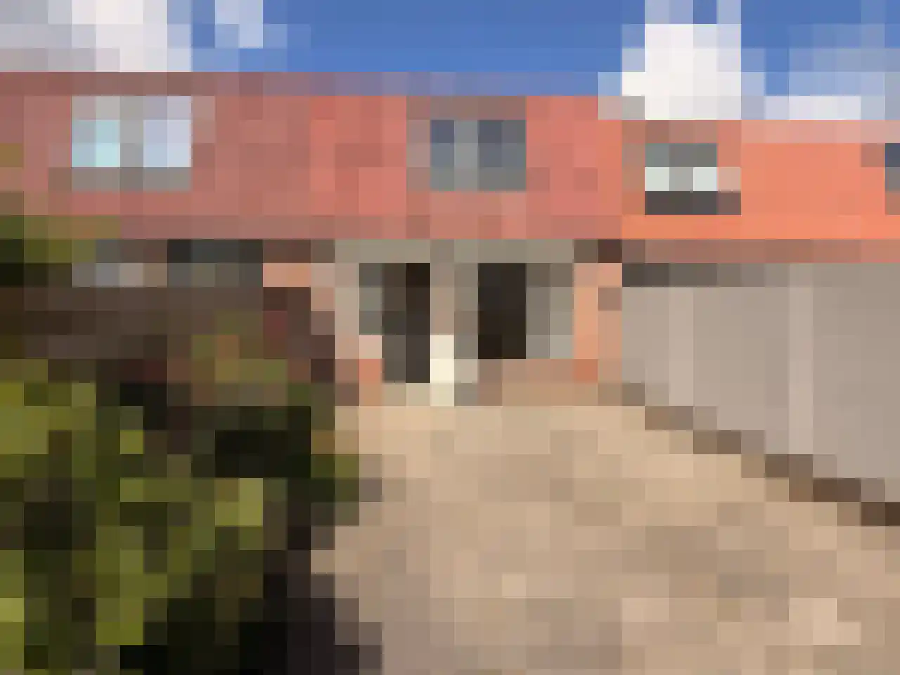 Ter Wormstraat 52 Rotterdam thumbnail 12