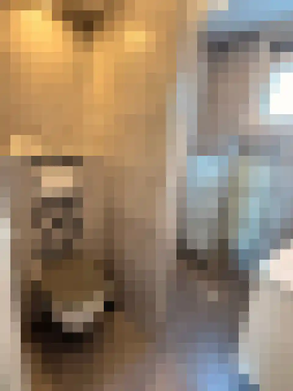 Ter Wormstraat 52 Rotterdam thumbnail 6