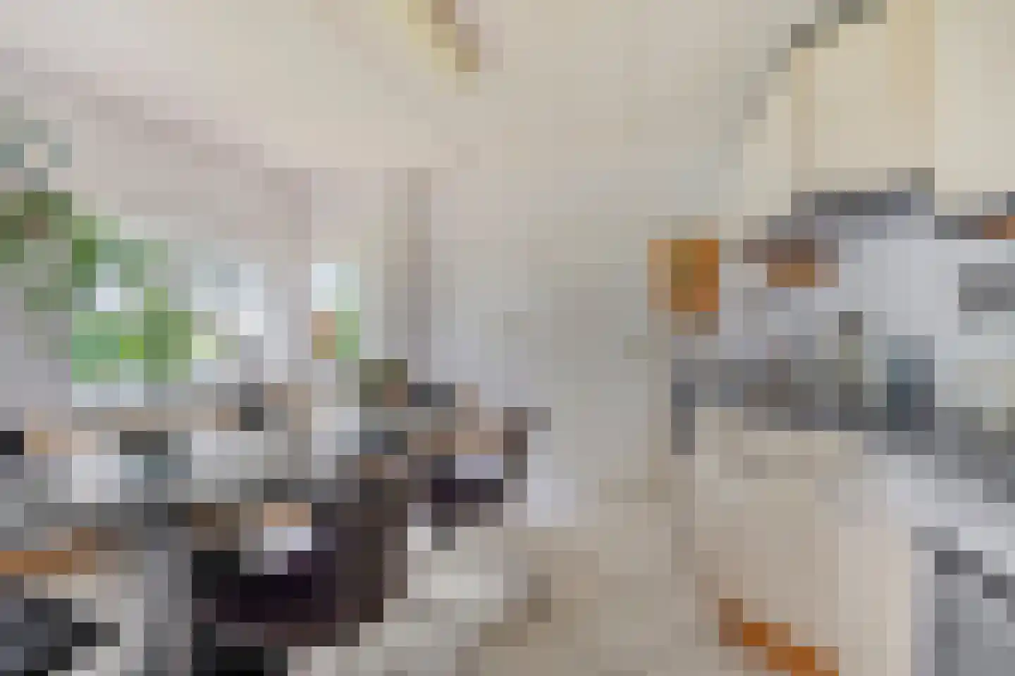 Ter Wuppingerweg 5 A Onstwedde thumbnail 16