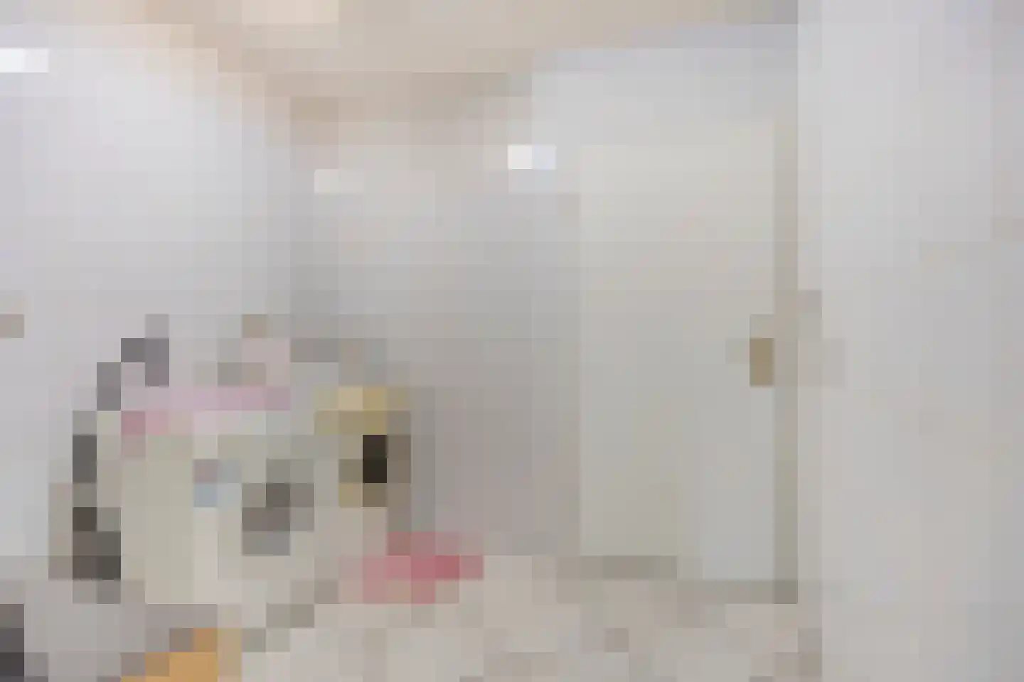 Ter Wuppingerweg 5 A Onstwedde thumbnail 24