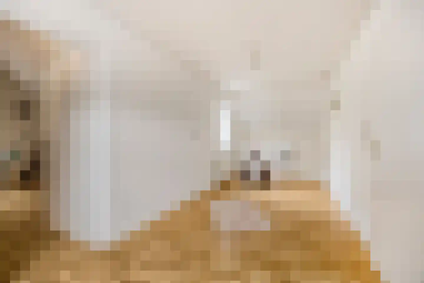 Ter Wuppingerweg 5 A Onstwedde thumbnail 32