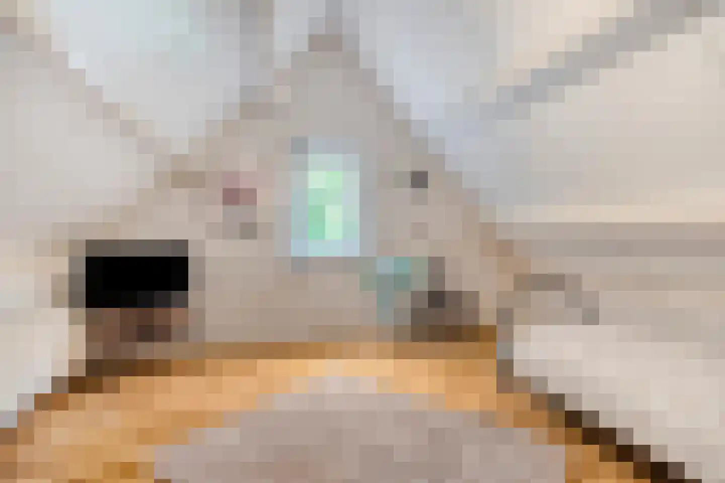 Ter Wuppingerweg 5 A Onstwedde thumbnail 34