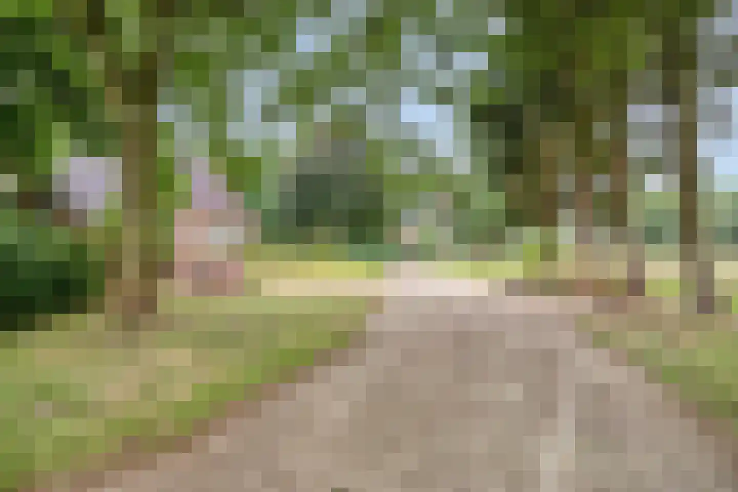 Ter Wuppingerweg 5 A Onstwedde thumbnail 36