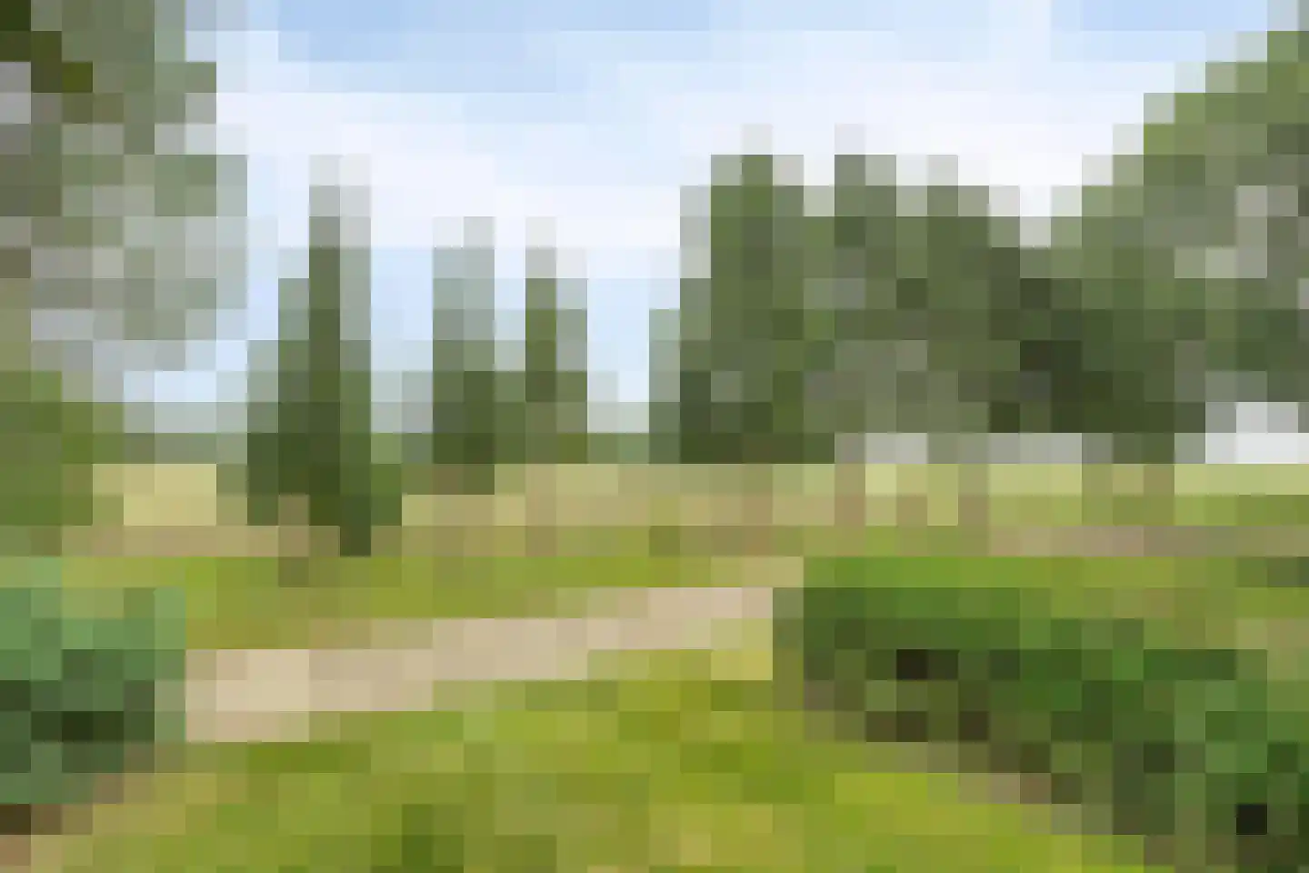 Ter Wuppingerweg 5 A Onstwedde thumbnail 40