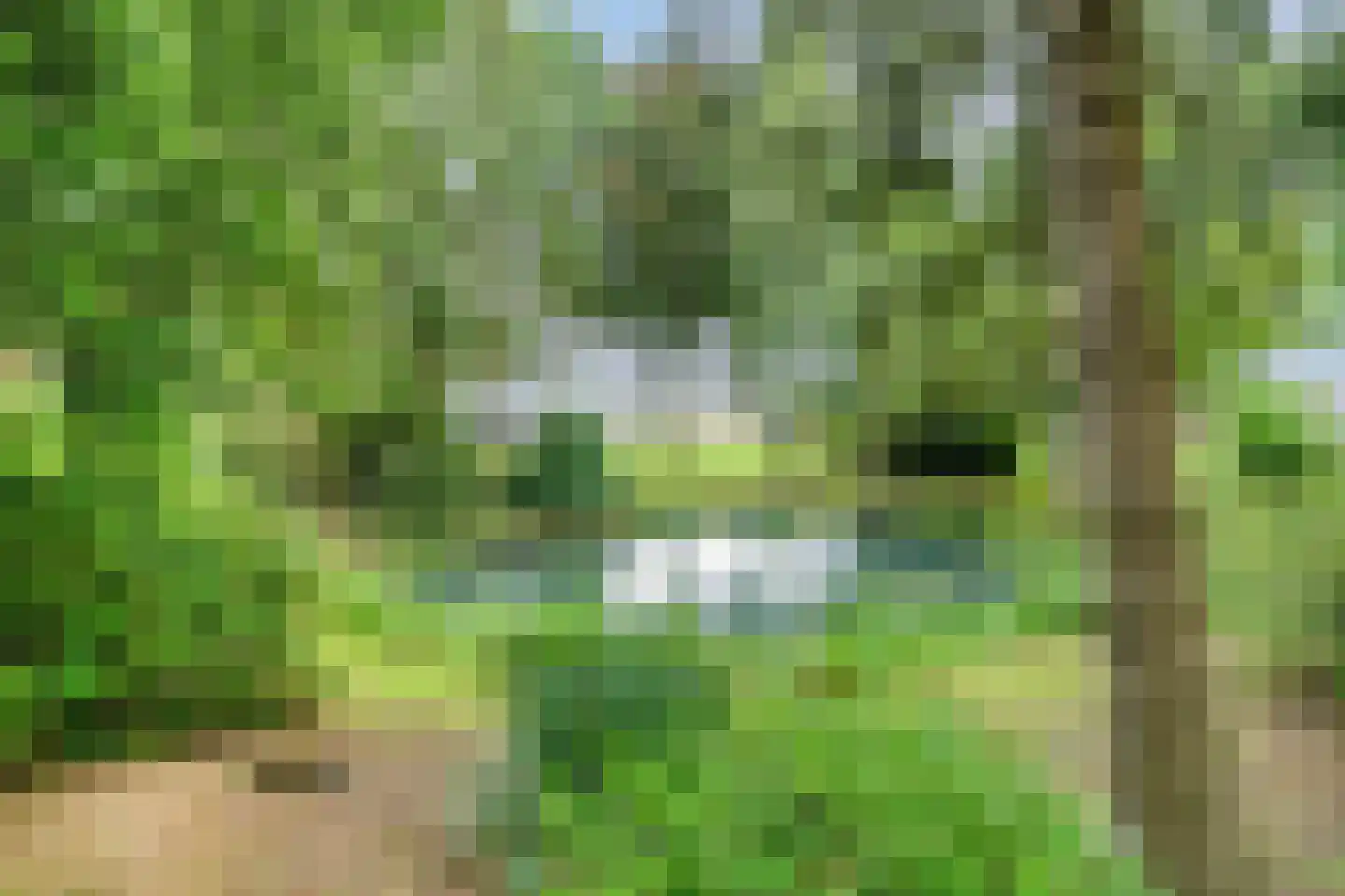 Ter Wuppingerweg 5 A Onstwedde thumbnail 41