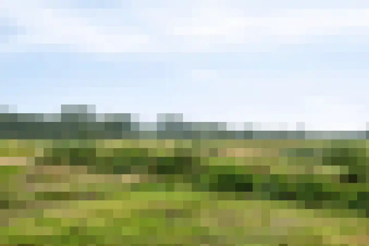 Ter Wuppingerweg 5 A Onstwedde thumbnail 44