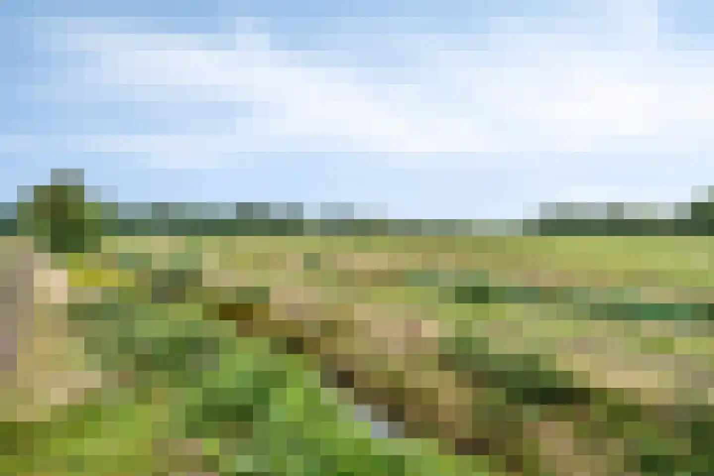 Ter Wuppingerweg 5 A Onstwedde thumbnail 45