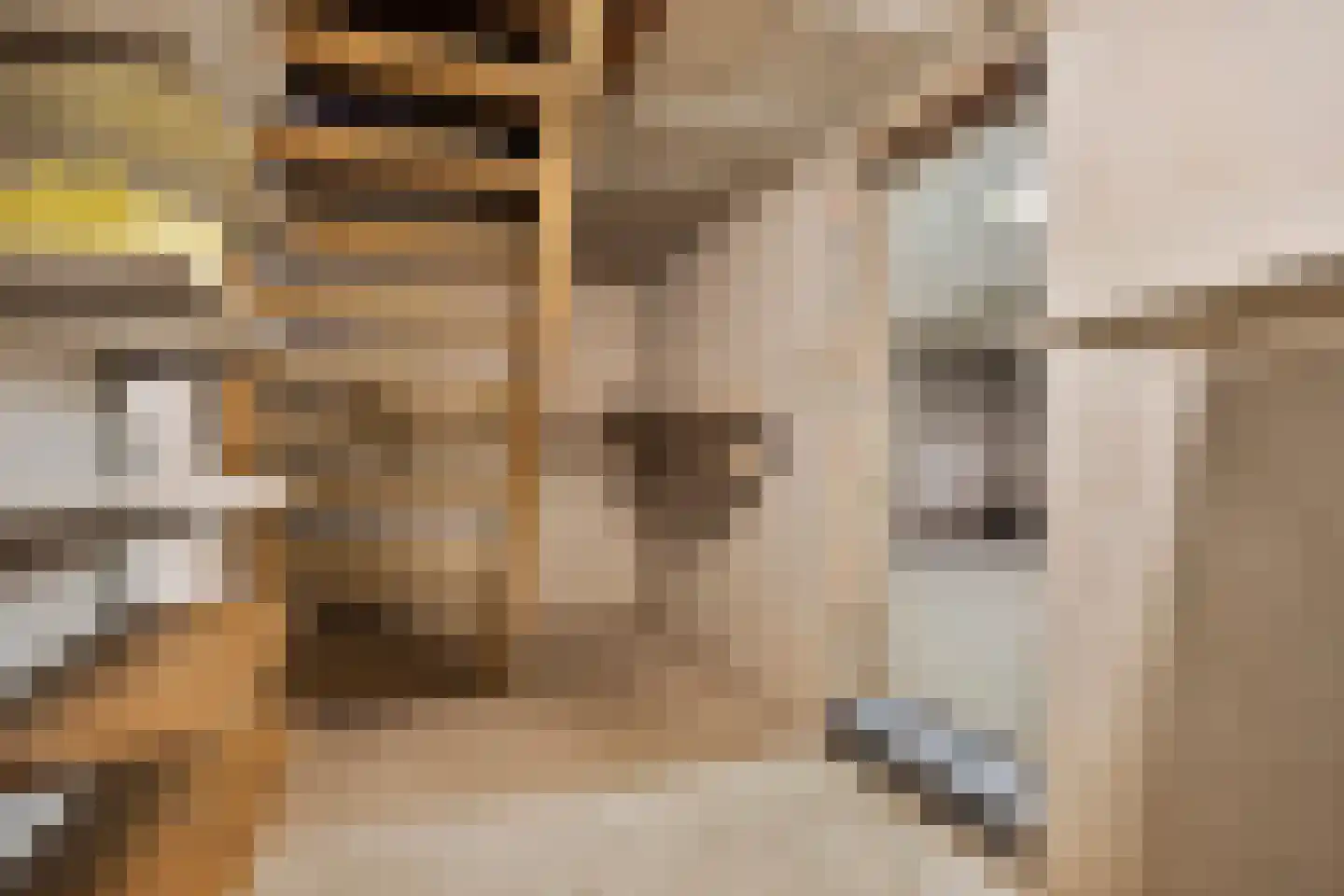 Ter Wuppingerweg 5 A Onstwedde thumbnail 47