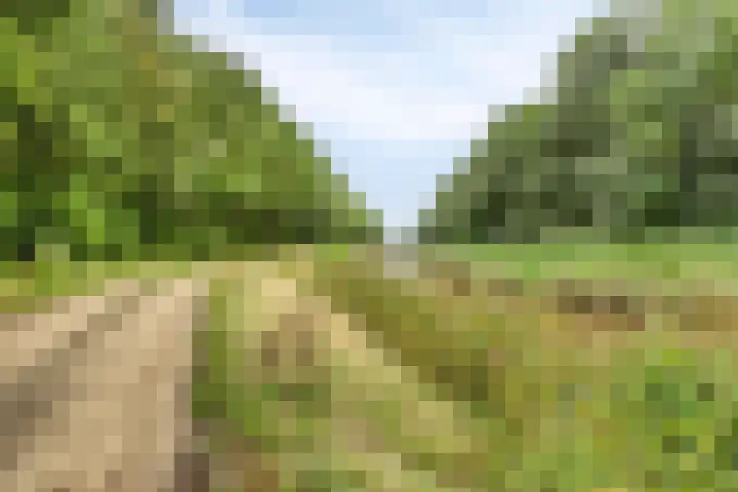 Ter Wuppingerweg 5 A Onstwedde thumbnail 5