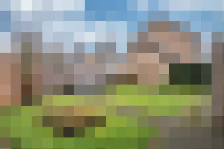 Terbaansweg 1 Roermond thumbnail 36