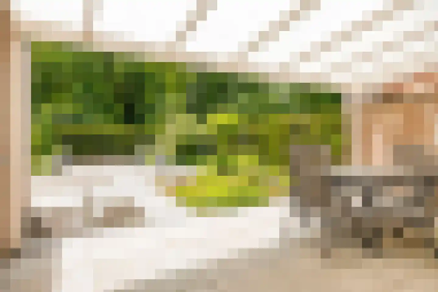 Terbaansweg 4 A Roermond thumbnail 35