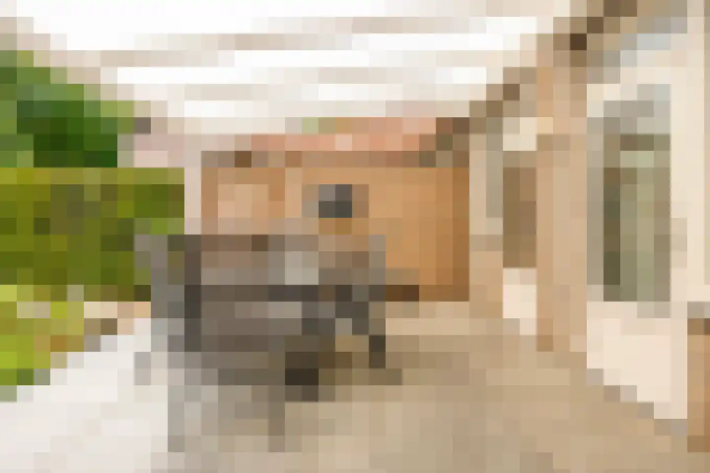 Terbaansweg 4 A Roermond thumbnail 36