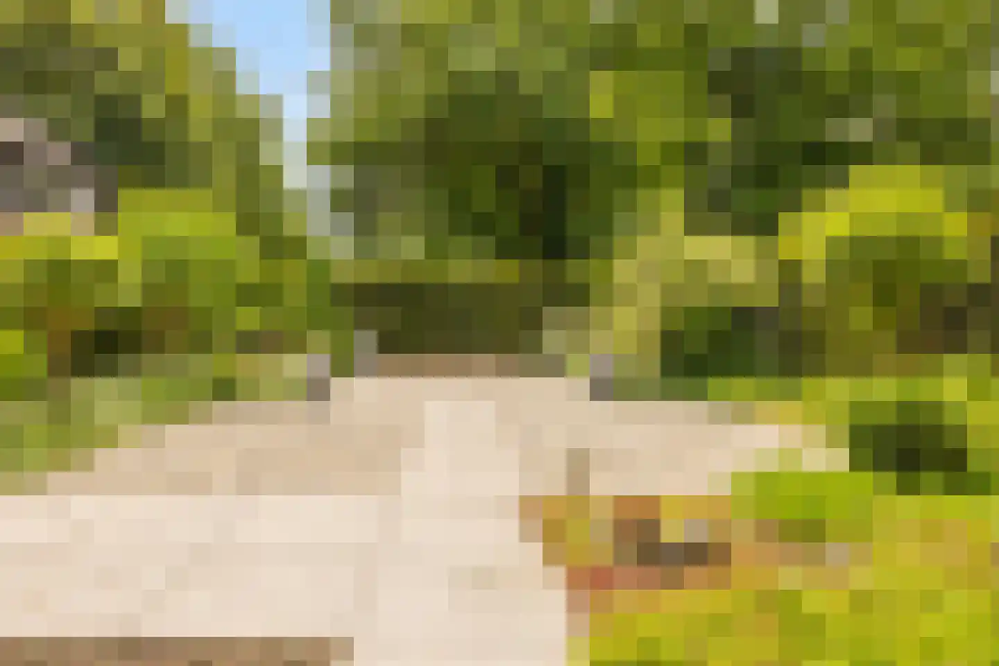 Terbaansweg 4 A Roermond thumbnail 37