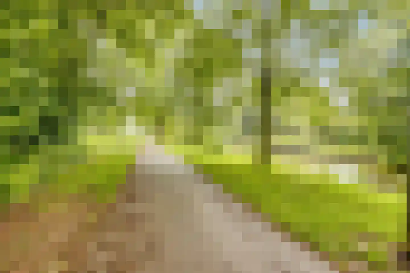 Terbaansweg 4 A Roermond thumbnail 43