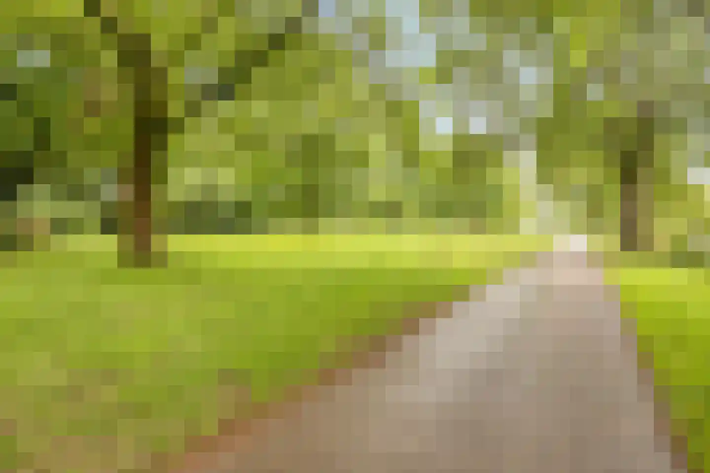 Terbaansweg 4 A Roermond thumbnail 44