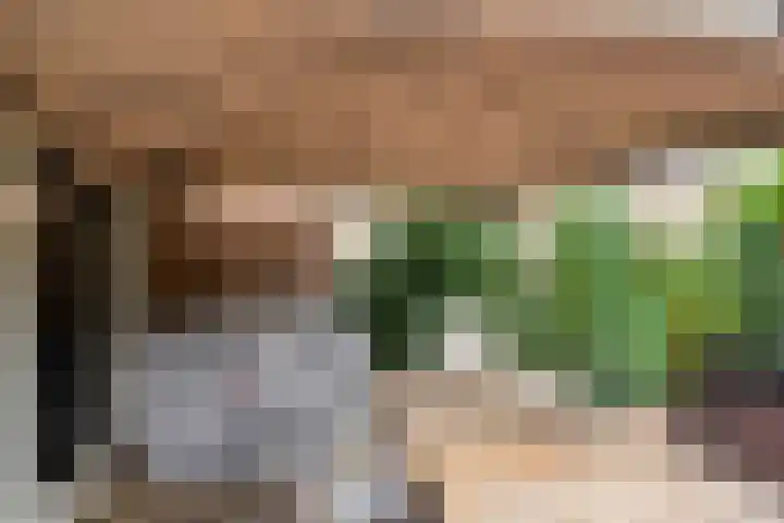 Terbaansweg 42 Roermond thumbnail 26