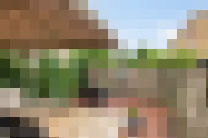 Terbaansweg 42 Roermond thumbnail 27