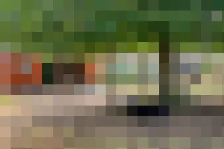 Terbaansweg 42 Roermond thumbnail 31