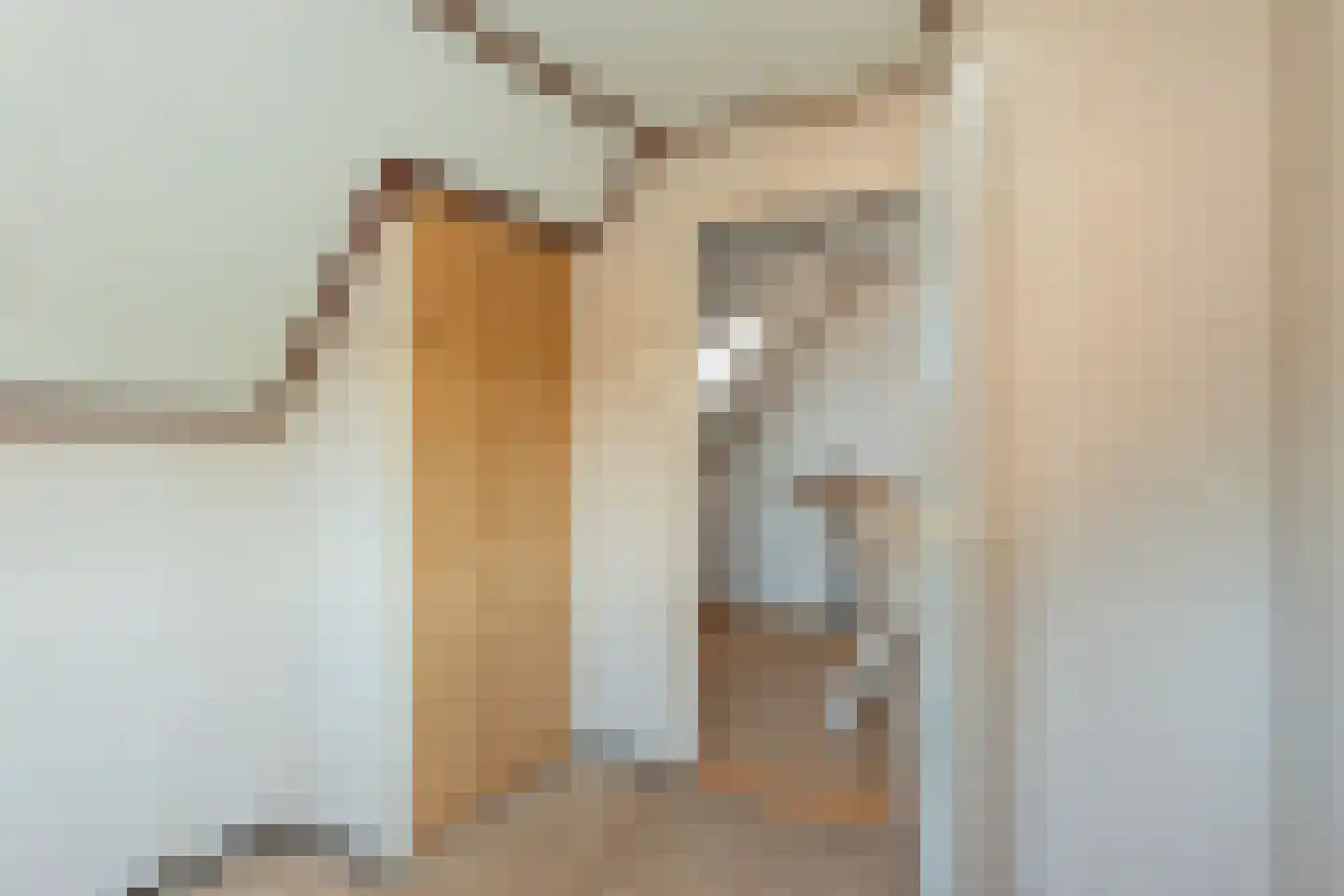 Terbekeweg 32 Elburg thumbnail 12