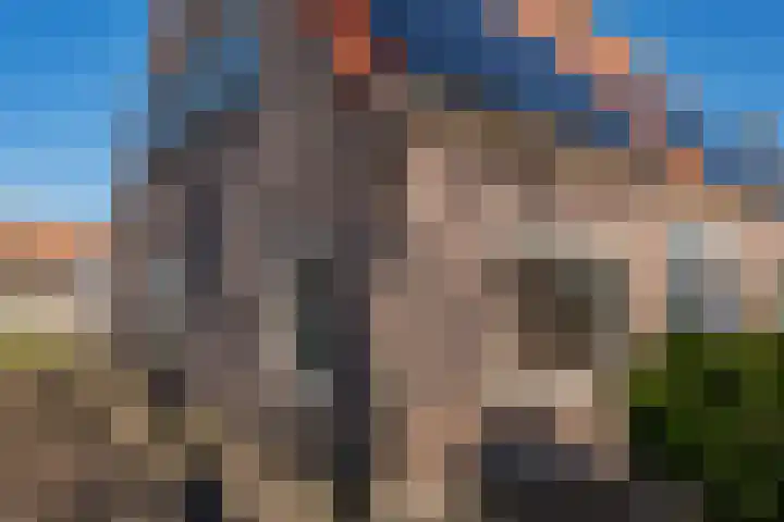 Terbekeweg 32 Elburg thumbnail 16