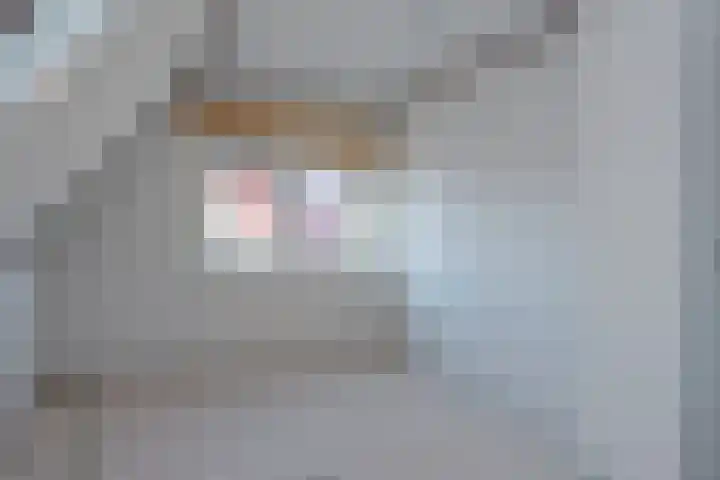 Terbekeweg 32 Elburg thumbnail 9