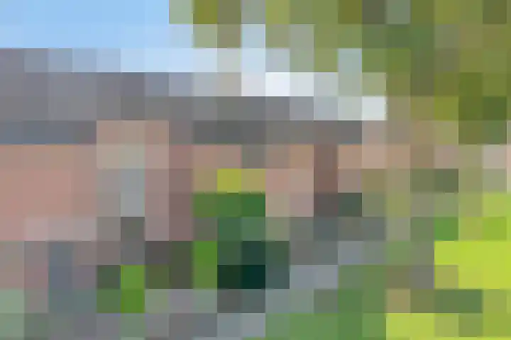 Terbekeweg 75 Elburg thumbnail 36