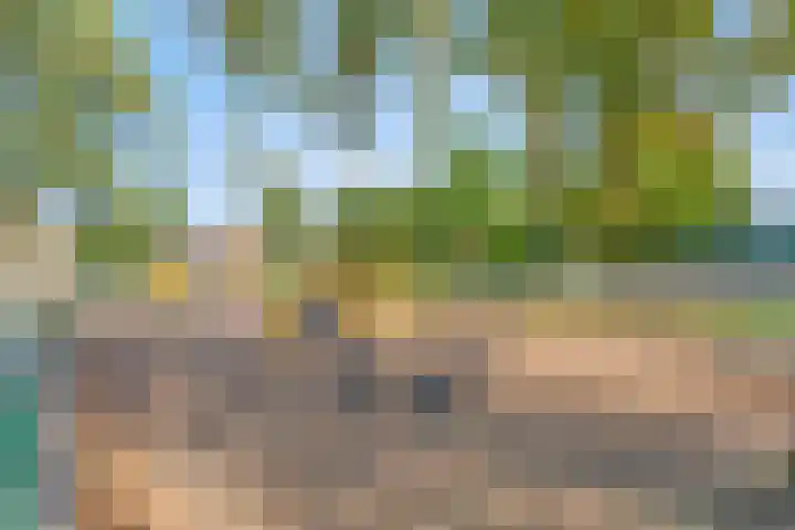 Terbekeweg 75 Elburg thumbnail 38