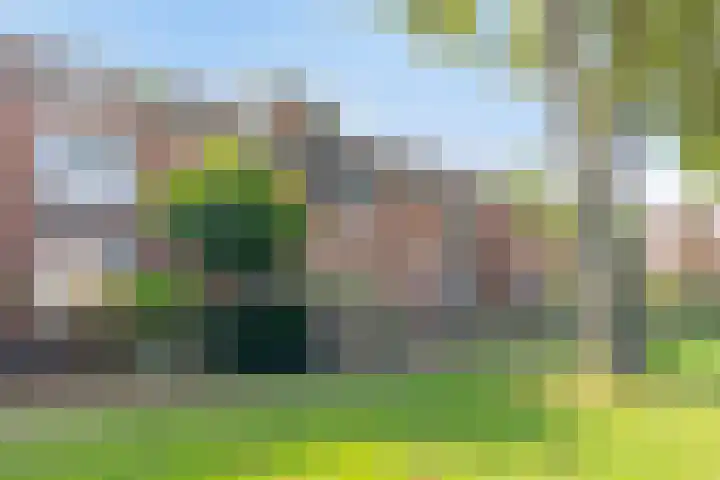 Terbekeweg 75 Elburg thumbnail 4