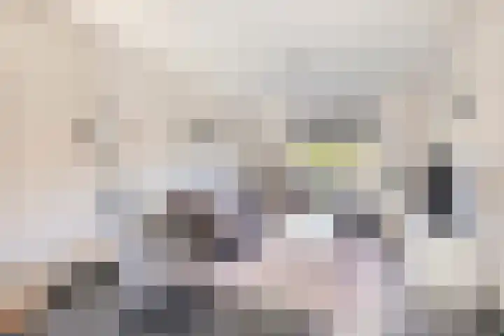 Terbekeweg 75 Elburg thumbnail 7