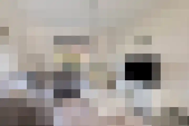 Terbekeweg 75 Elburg thumbnail 8
