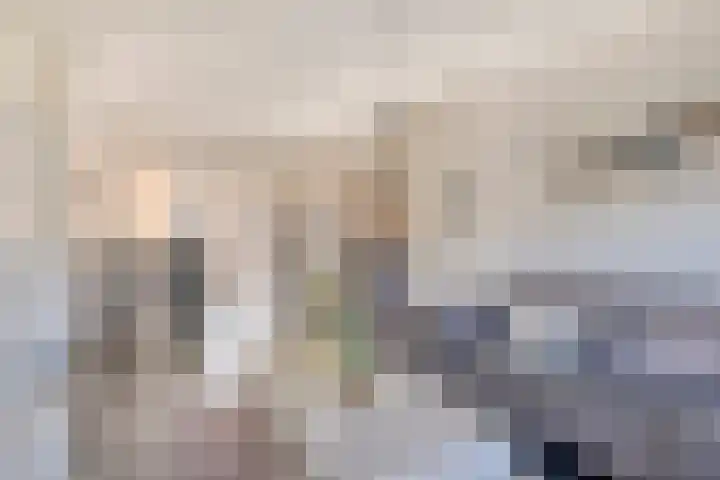 Terbekeweg 75 Elburg thumbnail 9