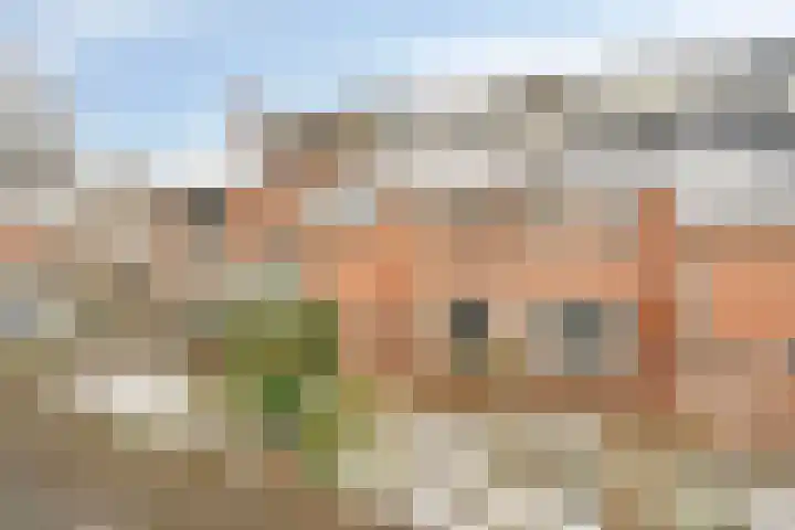 Terbekeweg 94 Elburg thumbnail 6