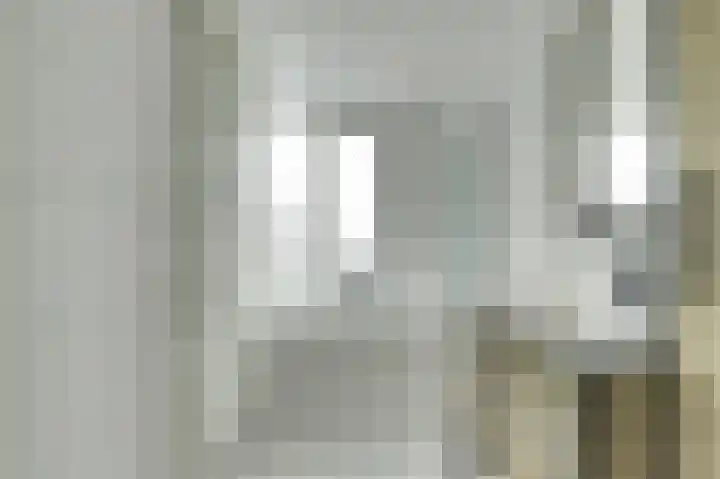 Terborch 16 Monster thumbnail 10