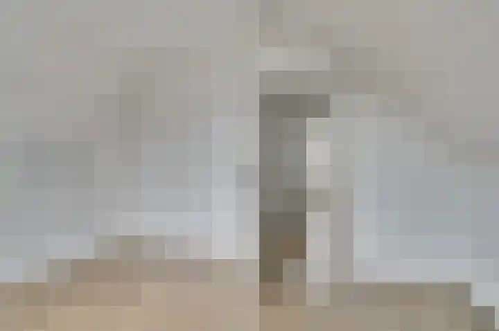 Terborch 16 Monster thumbnail 12