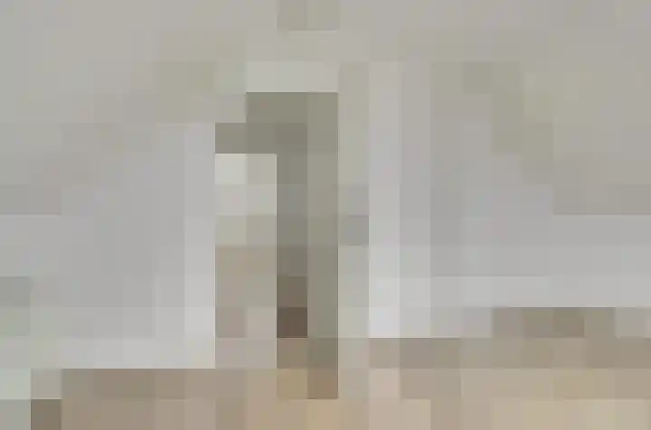 Terborch 16 Monster thumbnail 14