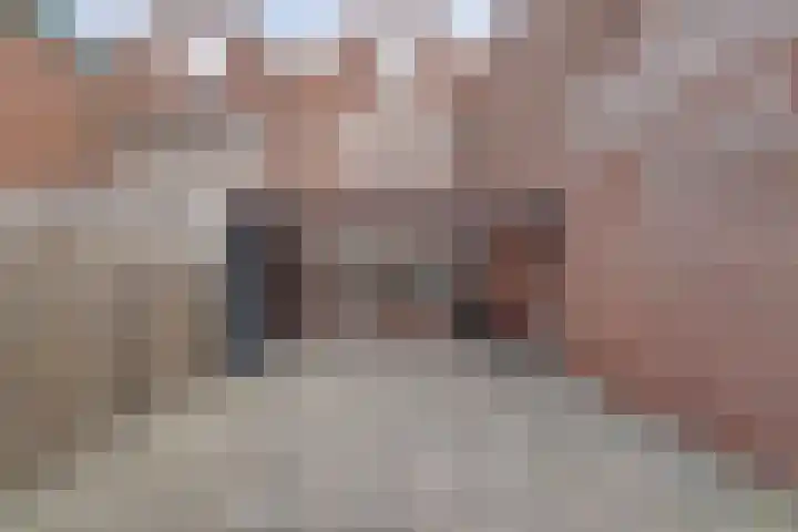 Terborch 16 Monster thumbnail 17