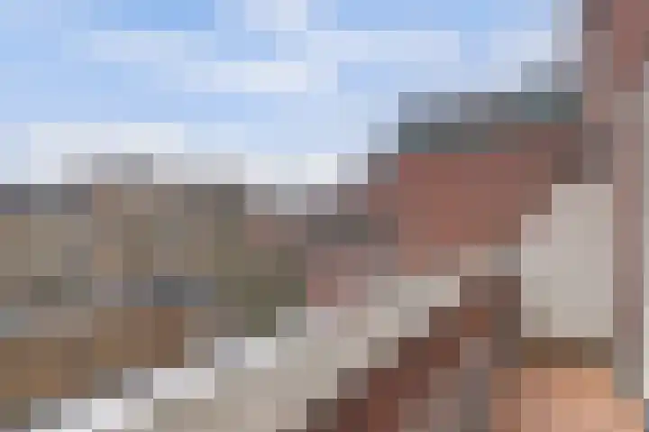 Terborch 16 Monster thumbnail 18