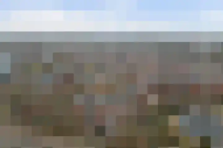 Terborch 16 Monster thumbnail 21