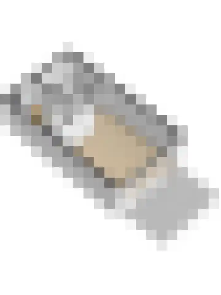 Terborch 16 Monster thumbnail 24