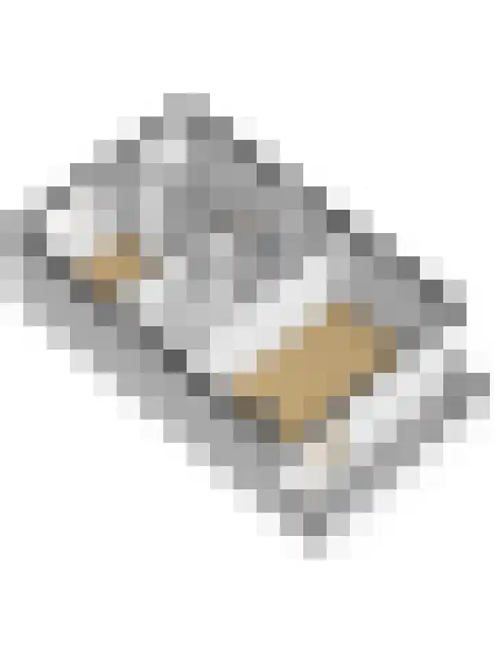 Terborch 16 Monster thumbnail 26