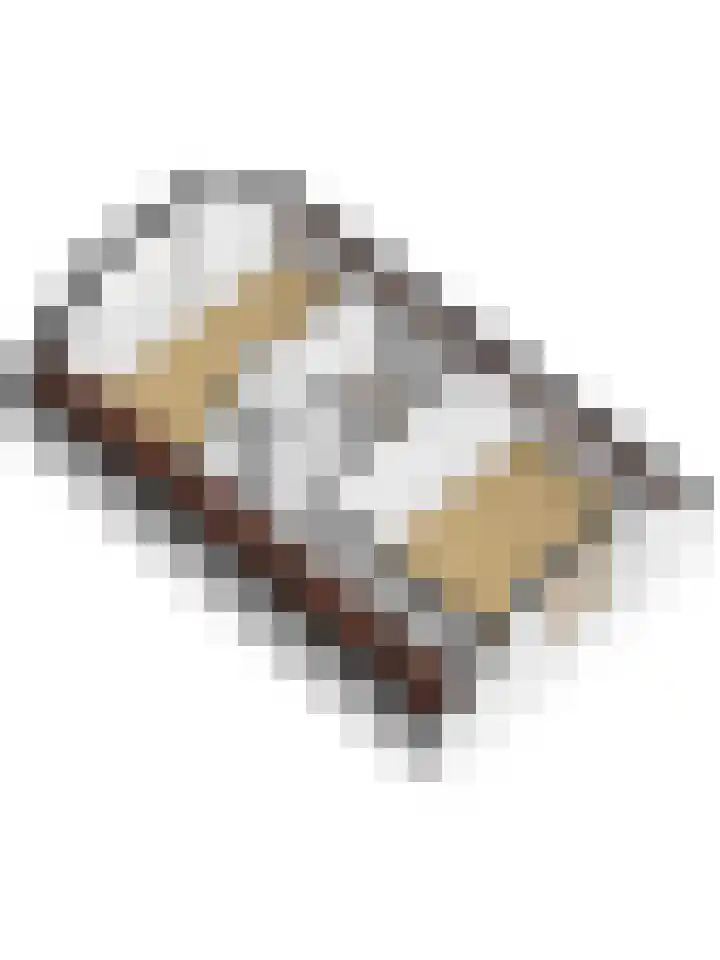 Terborch 16 Monster thumbnail 28